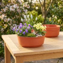 Artikel Z-Schale aus Plastik Ø22 cm im Terrakotta-Look, 10 Stück