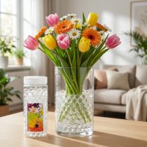 Artikel Aqualinos Wasserperlen Transparent Gelperlen 15–18mm 500ml für Pflanzen