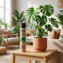 Artikel Oasis Floralife Blattglanzspray 750 ml silikonfrei für Zimmerpflanzen