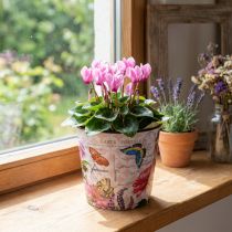 Artikel Blumentopf Kunststoff mit Blumen- und Schmetterlingsmotiv Ø15,5×H13cm Rosa