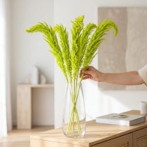 Artikel Fuchsschwanz Trockenblumen Amaranth gefärbt Hellgrün 100 cm 5 Stiele