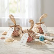 Artikel Natürliche Muscheln Mix 3,5–6cm bunt im Netz 300g