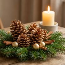 Artikel Maritima Holz-Zapfen Creme-Vanille 10-15cm 25 Stück