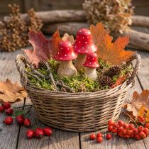 Artikel Fliegenpilz-Holzdeko 3er-Set, H6/8/10cm, Rot-Weiß, Herbst- und Weihnachtsdeko