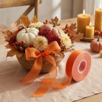 Artikel Organzaband Dekoband mit Webkante 25mm x 50m Orange Polyester