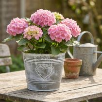Artikel Blumentopf aus Metall mit Herzmotiv, Ø22cm, H17,5cm, grau-weiß gewaschen, für innen und außen