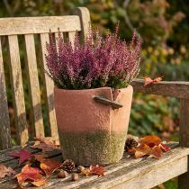 Artikel Beton Übertopf Ø18cm H17cm Terracotta-Grün für Blumen und Kräuter