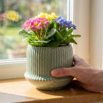 Artikel Blumentopf Keramik Hellgrün mit Rillen Ø14,5cm H12,5cm
