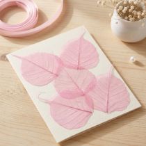Artikel Skelettierte Weidenblätter Rosa 5-9cm, 200 Stück – Deko und Bastelmaterial
