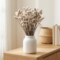 Artikel Trockenblumen Strandflieder Weiß Limonium 60cm Bund 35g