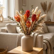 Artikel Trockenblume aus Holz Repens Rot 25 Stück 32–34 cm
