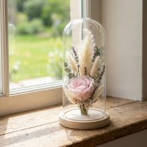 Artikel Glassturz Glasglocke mit Holzfuß Klar Ø14cm H28,5cm
