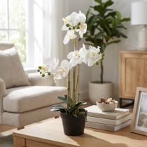 Artikel Künstliche Orchidee im Topf, weiß, 60 cm, Dekoration für Wohnräume