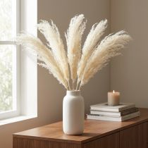 Artikel Asparagus Trockengras Creme 90cm Naturmaterial für Dekoration