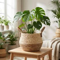 Artikel Korb mit Henkeln aus Seegras und Jute Ø23cm H20cm Natur/Braun für Zimmerpflanzen