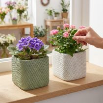 Artikel Keramik-Übertopf-Set mit Netzmuster 12,5x12,5x9cm in Weiß und Grün, 2 Stück