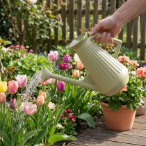 Artikel Gießkanne Kunststoff 9 Liter Olivgrün mit Abnehmbarer Brause für Garten