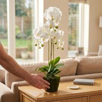 Artikel Künstliche Orchidee weiß 80cm mit Erdballen für den Topf