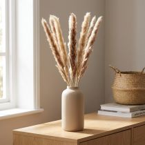 Artikel Pampasgras getrocknet Natur 70 cm 6 Stück