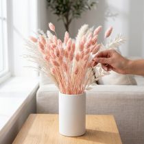 Artikel Phalaris Glanzgras getrocknet Rosa 65cm 60g für Wohn- und Tischdekoration
