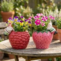 Artikel Keramik-Übertopf-Set mit Kantenhänger-Zwergen, Ø14,5cm, rot-rosa, 2-teilig