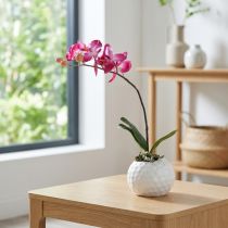 Artikel Künstliche Orchidee Phalaenopsis im Topf Rosa 34 cm