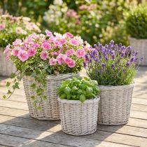 Artikel Pflanzkörbe aus Weide Weißgrau mit Folie Rund Ø43/34/28cm 3er-Set