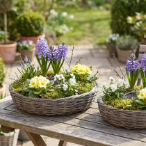 Artikel Pflanzringe aus Rattan und Holz Natur Grau Ø40/45cm 2er-Set