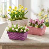 Artikel Spankörbe eckig Holzspan mit Folie 20x11x8cm Lila Weiß Rosa 8 Stück