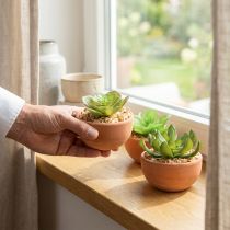 Artikel Künstliche Sukkulenten im Terrakotta-Topf ca. 9cm Höhe, 3 Stück, Grün