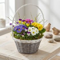 Artikel Henkelkorb aus Weide mit Polyrattan Ø29cm Grau Weiß für Blumendekoration
