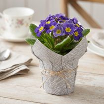 Artikel Übertopf aus Papier gepunktet für Blumen Ø7cm H14cm 12er-Set