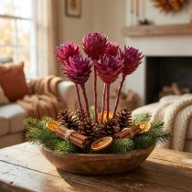 Artikel Trockenblumen Plumosum Holz Erikaviolett 25 Stück 21–30cm