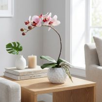 Artikel Künstliche Orchidee Rosa im Keramiktopf 31cm