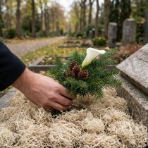 Artikel Deko-Moos Waldmoos getrocknet gebleicht 300g