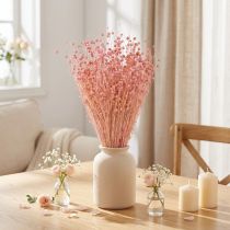Artikel Trockengras Flachs Bund 50-55cm Hellrosa 80g Dekoration