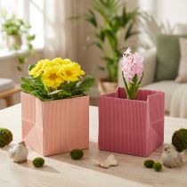 Artikel Blumenübertopf Blumentüte gerippt Papier 12x12cm Pink und Lachs 6 Stück