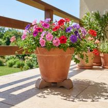 Artikel Blumentopf-Füße aus Ton in Umbrabraun 7 cm 3er-Set