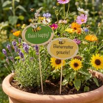 Artikel Gartenstecker Bienenretter Holzstecker 25,5cm Gelb Grün 20 Stück