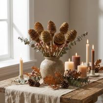 Artikel Platyspermum Köpfe mit Stiel Creme 5-7,5 cm, 50 Stück aus Holz