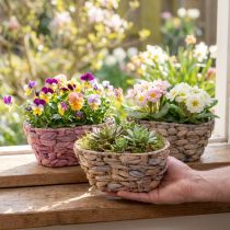 Artikel Pflanzkorb-Set aus Seegras und Wasserhyazinthe, oval, 20,5cm, 3 Stück, naturfarben, rosa, weiß