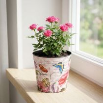 Artikel Übertopf Kunststoff 10,5 cm Rosa mit Blumen- und Schmetterlingsmotiv