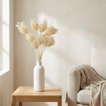 Artikel Gebleichte Trockenblumen Fenchelstrauß 10 Stiele dekorativ