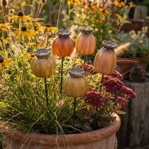 Artikel Gartenstecker aus Keramik in Mohnkapsel-Optik 41 cm Braun 4 Stück