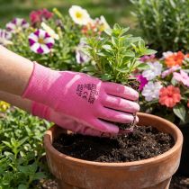 Artikel Kixx Gartenhandschuhe Nylon PU-Beschichtung Größe 7 Rosa/Pink