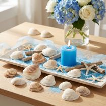 Artikel Herzmuscheln Deko Naturmaterial Weiß Braun 5–7cm 300g