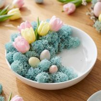 Artikel Deko-Moos Hellblau Aquamarin Islandmoos 400g Naturmaterial für Bastelarbeiten und Dekoration
