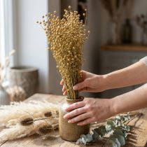 Artikel Getrockneter Flachs Naturfarben 40–55cm 85g Trockenblumen