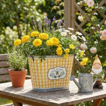 Artikel Pflanzkübel oval Metall 38×24×29cm kariert mit Bienenmotiv für Balkon und Terrasse