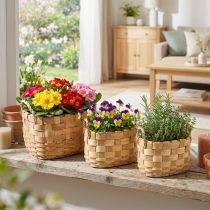 Artikel Pflanzkörbe Set oval Holz Natur mit Henkeln 22/27/33cm 3-teilig